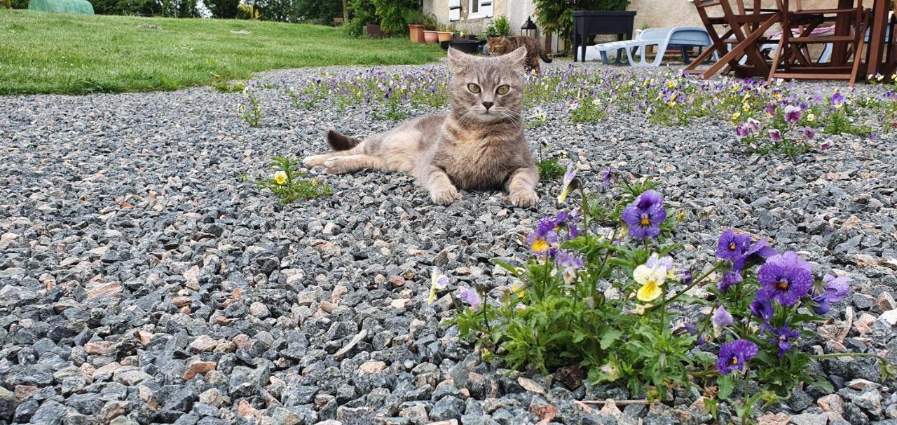 Bed and Breakfast Wisteria House Chanteloup  Екстер'єр фото