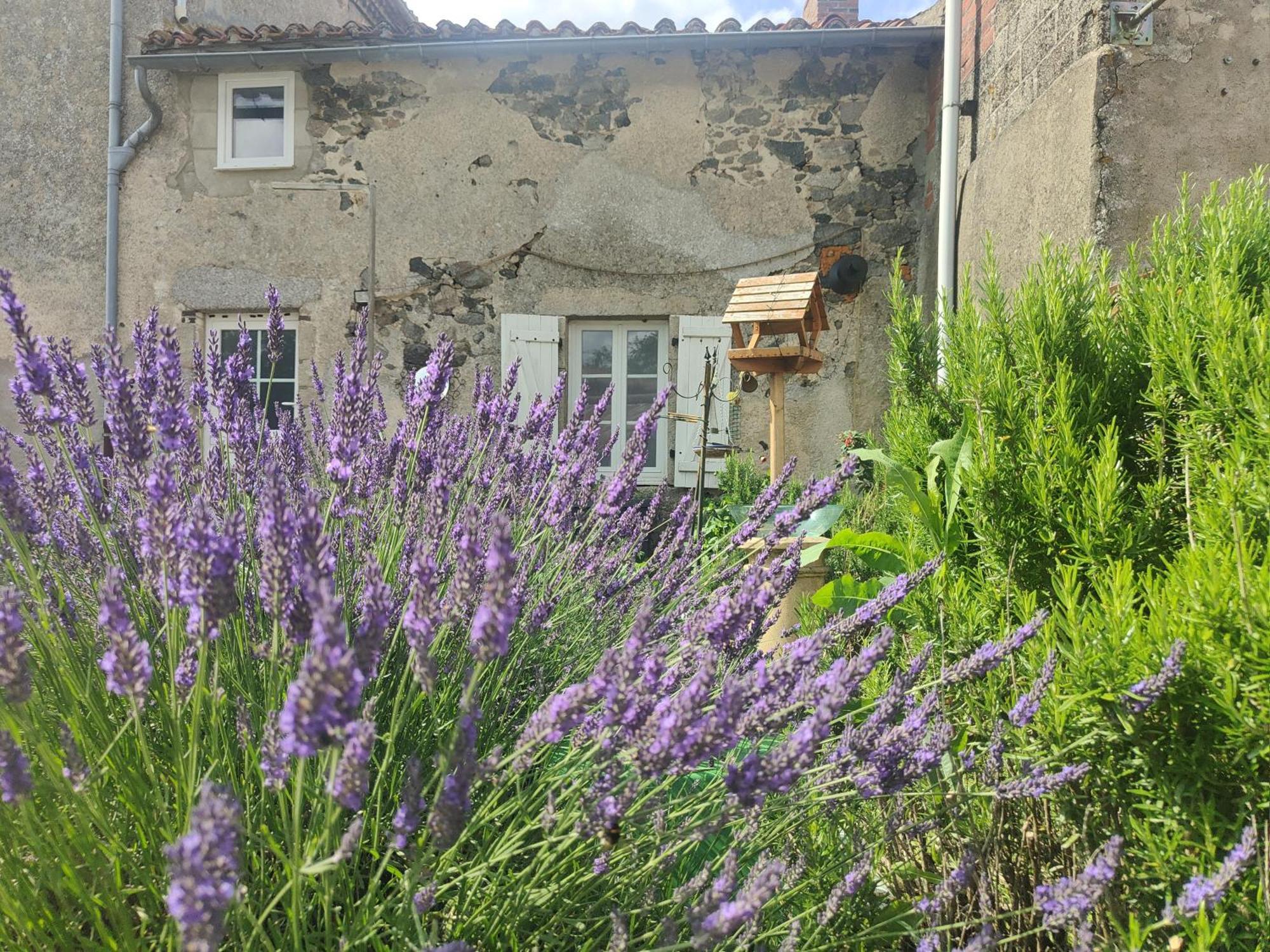 Bed and Breakfast Wisteria House Chanteloup  Екстер'єр фото