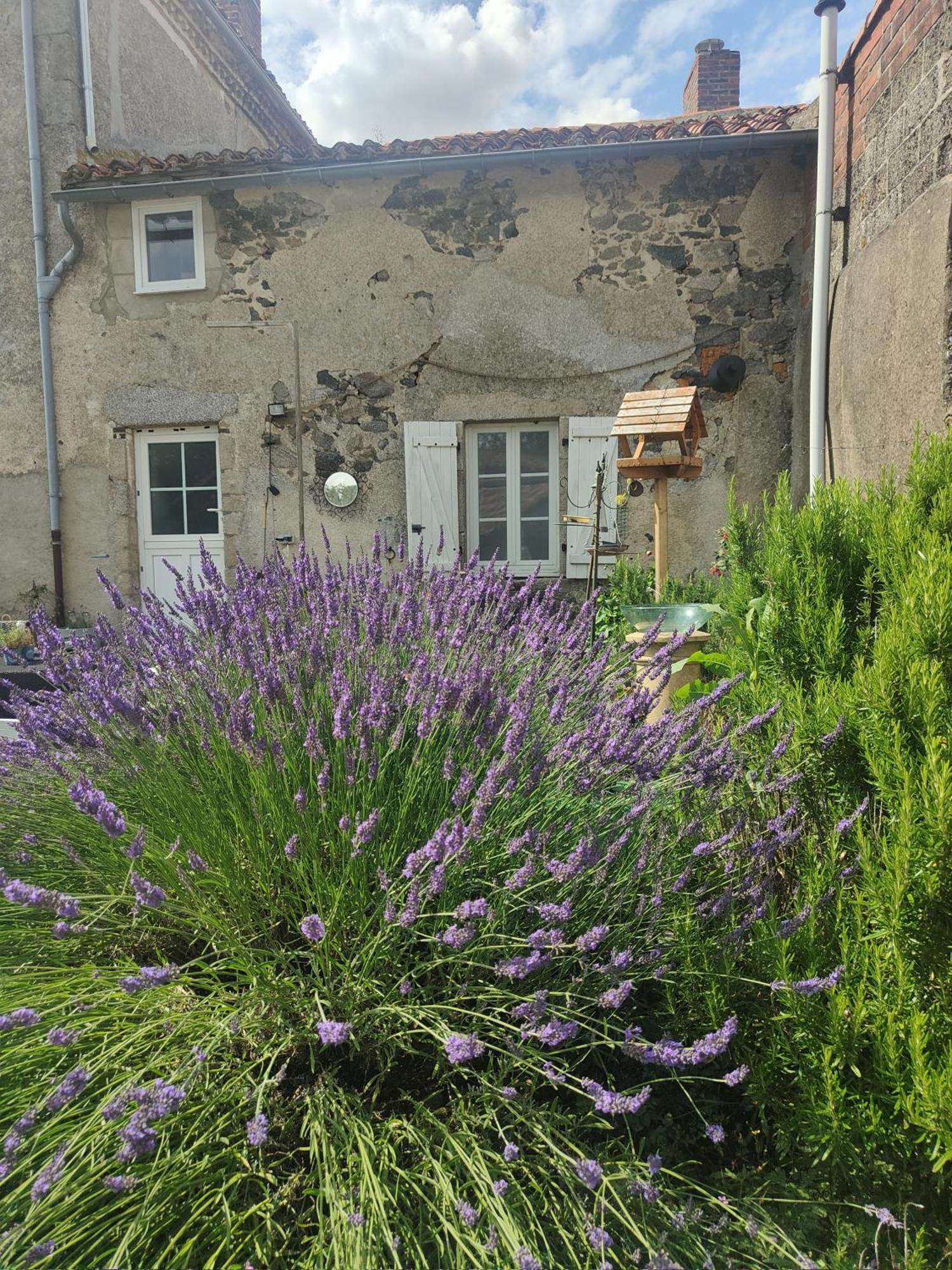 Bed and Breakfast Wisteria House Chanteloup  Екстер'єр фото