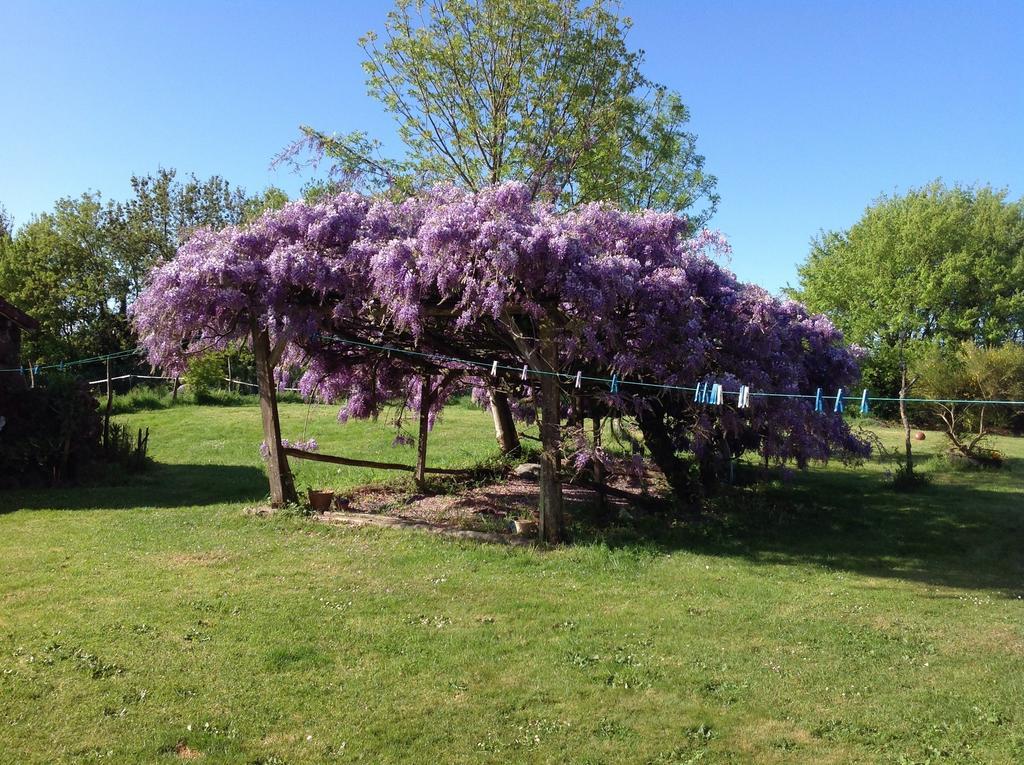 Bed and Breakfast Wisteria House Chanteloup  Екстер'єр фото